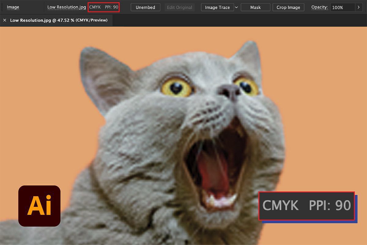Low resolution cat image at 90 ppi